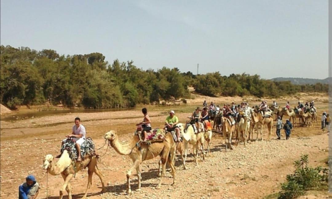 Riad Dar Salam Agadir Eksteriør bilde